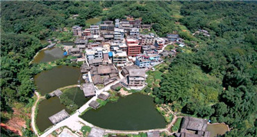 龍圩區(qū)
