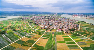 田東縣