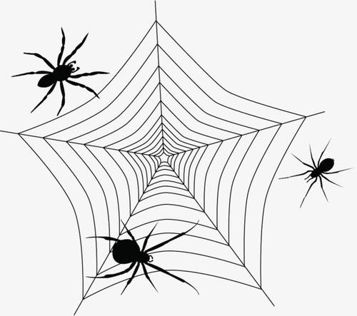 Spider pool 蜘蛛池的概念和原理