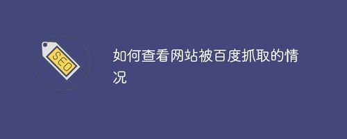 如何查看網(wǎng)站被百度抓取的情況？