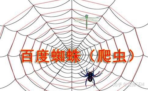 圖片為主的欄目要不要屏蔽蜘蛛抓取