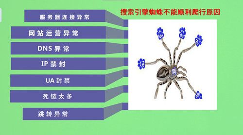 搜索引擎蜘蛛不抓同IP？剖析蜘蛛抓取運(yùn)行